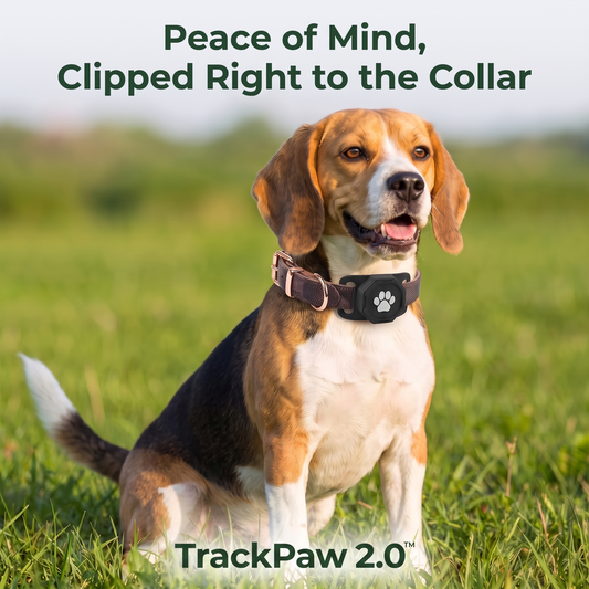 TrackPaw 2.0™ - Pet tracker